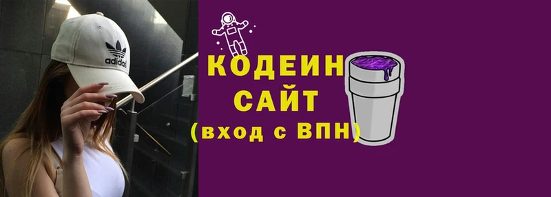 продажа наркотиков  Богородицк  MEGA ТОР  Codein Purple Drank 